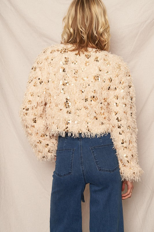 Oversized Feathery Glitter Sequin Sweater Top