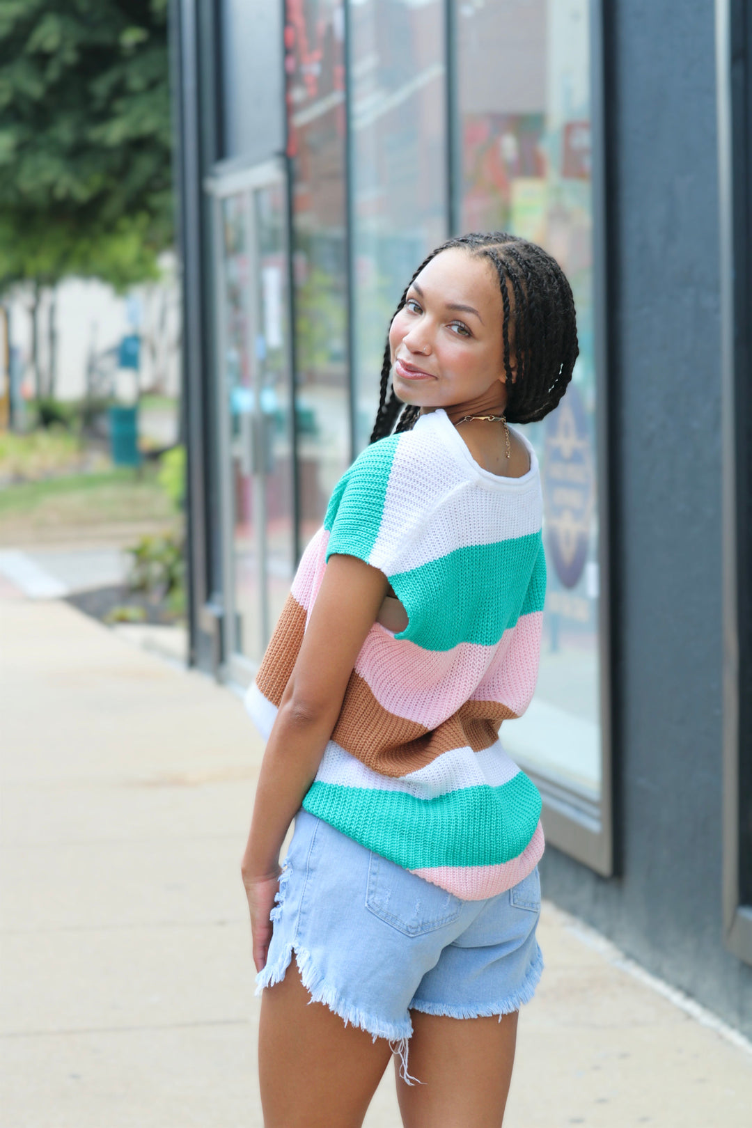 Colorblock Striped Knit Top Casual V Neck Short Sleeve Sweater